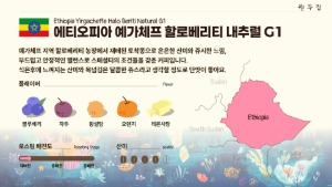 에디오피아 예가체프 할로베리티 G1 내추럴